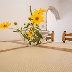 Guest house Apartment Medulin 3*