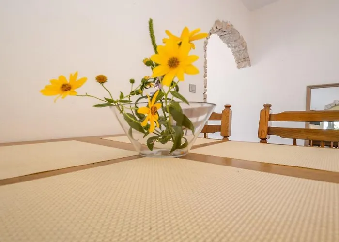 Gasthuis Apartment Medulin 3*