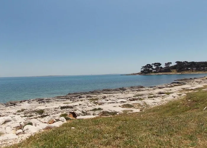 게스트하우스 Apartment Medulin 메덜린